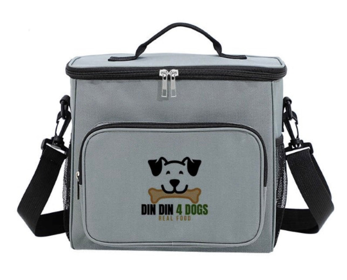 Cooler Bag