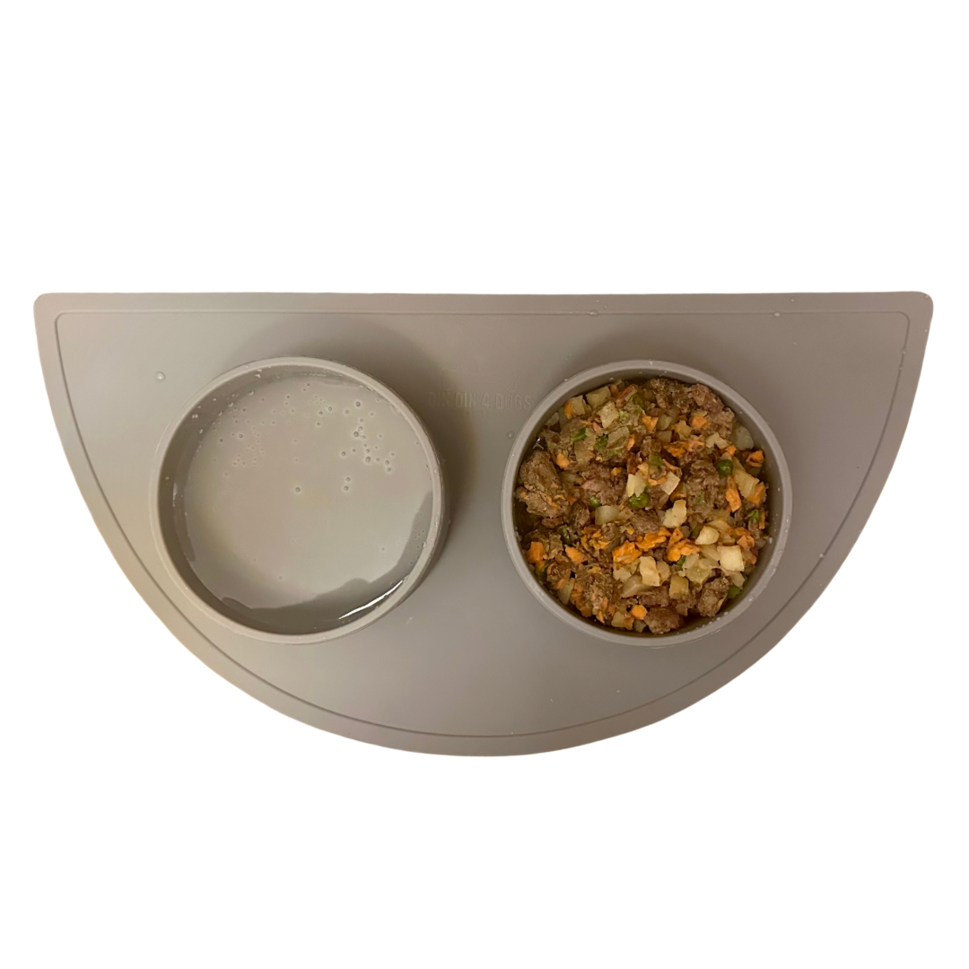 Dog (or cat) Food/Water Bowl Set